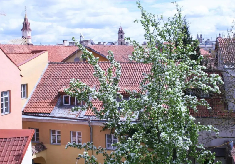 Old Town Apartment Antokolskio — отель в Вильнюсе, Литва