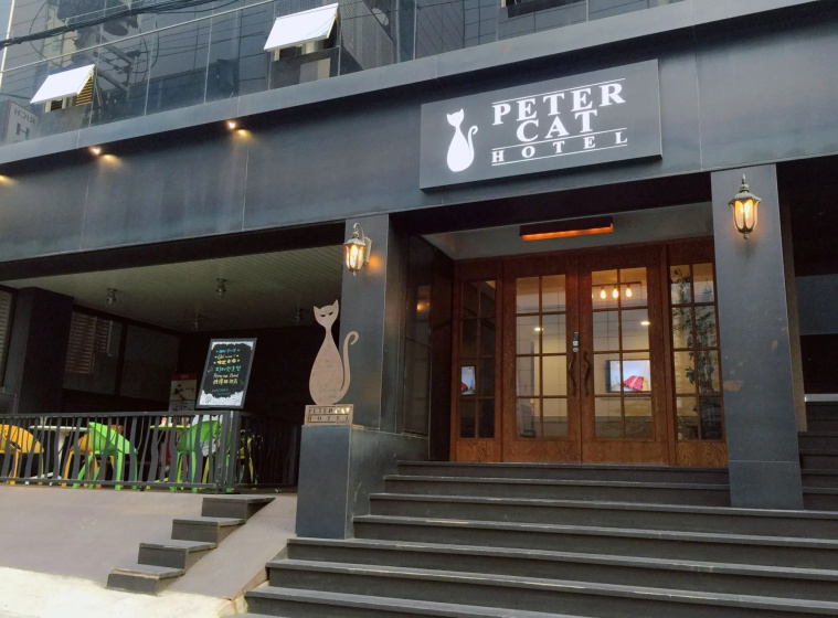 Цены на Petercat Hotel Sinchon Hongdae в Сеул