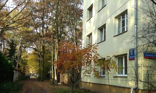 Prudentia Apartments Anin — отзывы гостей и цены