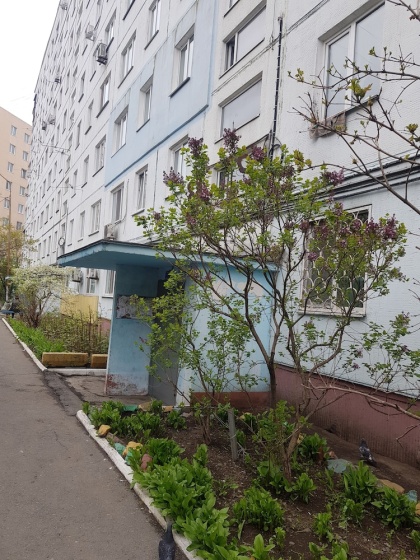 ул. Терешковой, 17, квартиры Vladdom25 — комфортный отель в Владивостоке