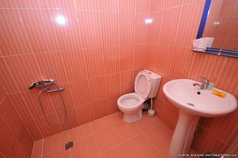 Maxim Mini Hotel - Mini-hotel in בתומי - Photo 1