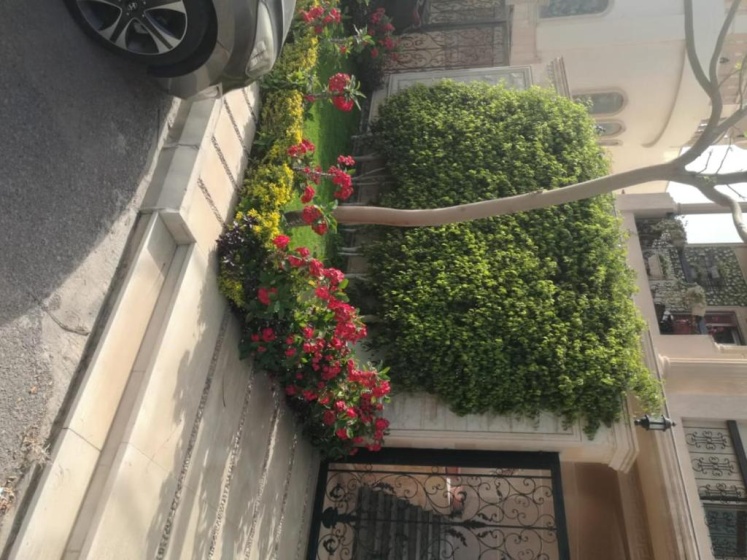 New Cairo Villa — комфортный отель в Каире