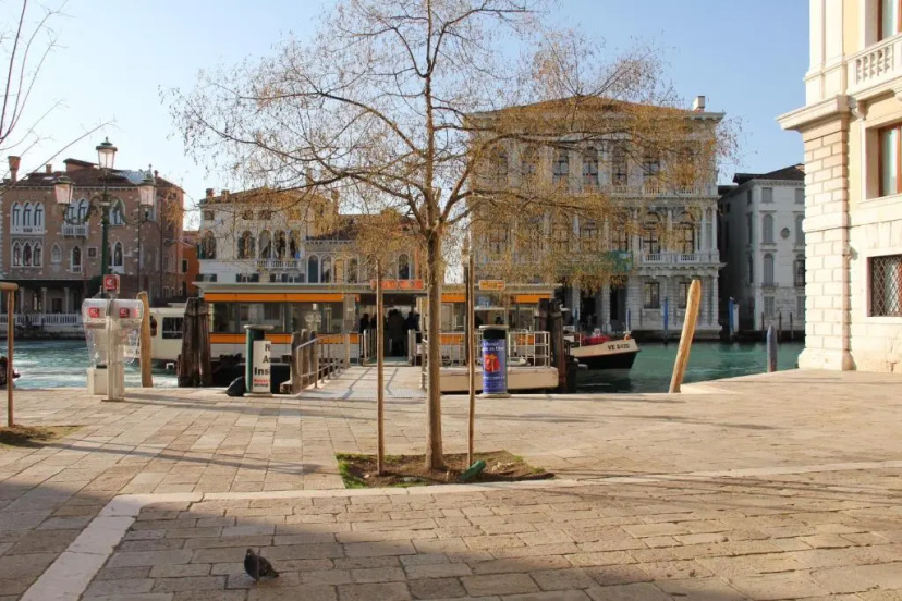 Sarai Apartments — отель в Венеции, Италия
