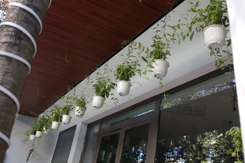 L hostel — отель в Дананге, Вьетнам