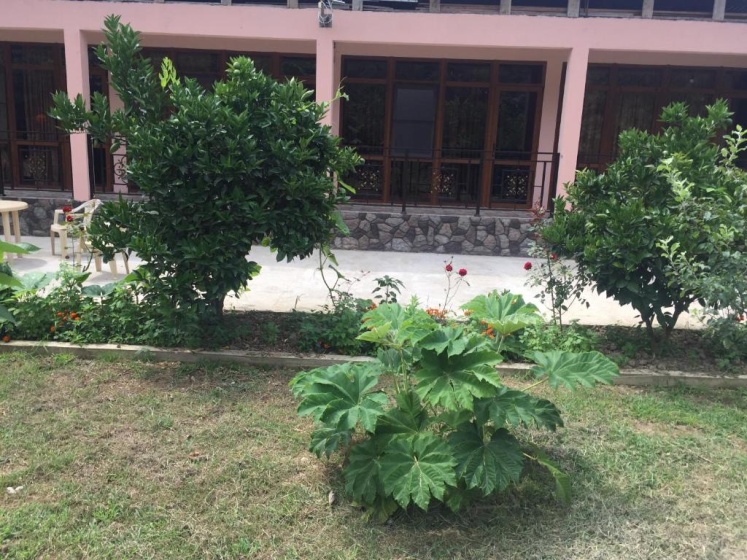 Guest House on Lakrba 3 — комфортный отель в Гагра