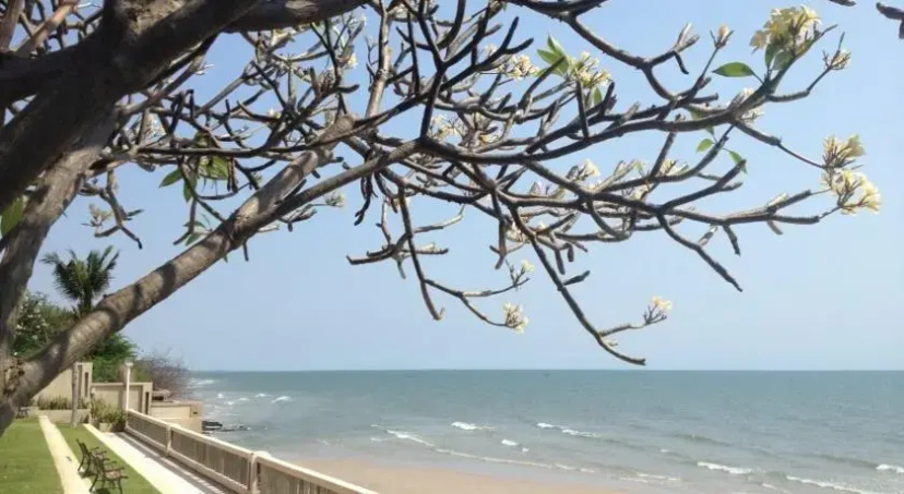 Palm Pavillion Huahin — отзывы гостей и цены