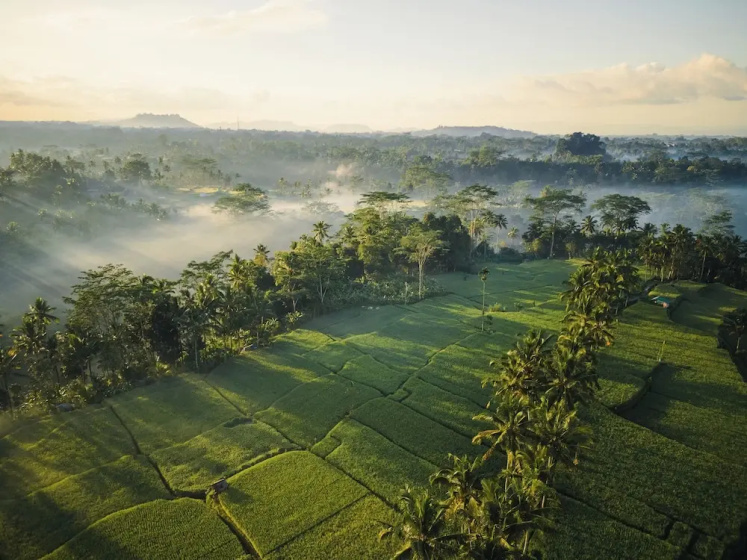 Ubud Mas Glamping Luxury Tent — отель в удобной локации в Убуде