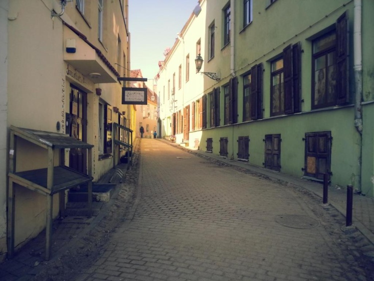 Luxury Vilnius Oldtown Apartment — отель с удобствами в Вильнюсе