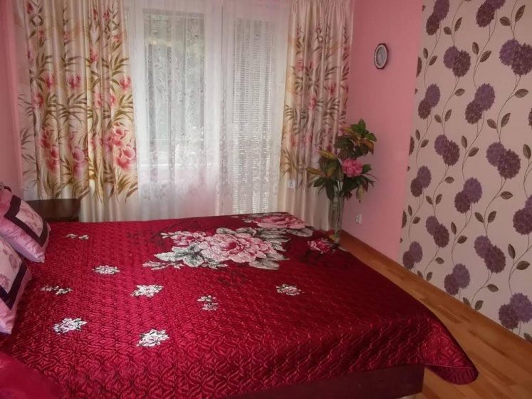 Apartment I. P. Pavlova — забронировать отель в Карловых Варах