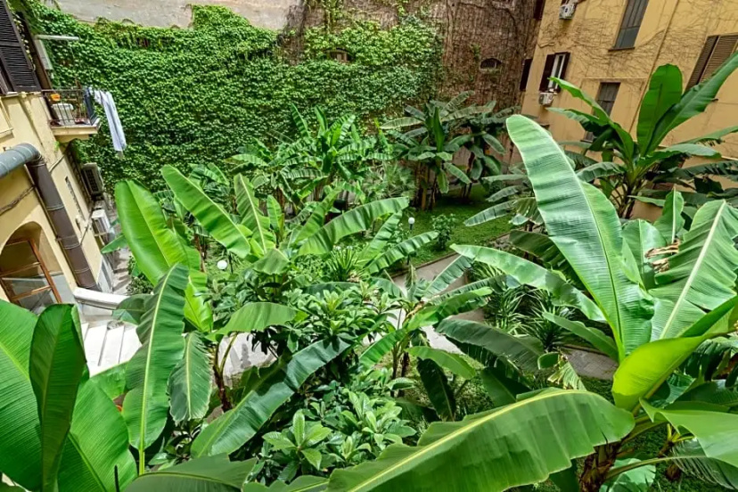 Leo's Colosseum - Private Apartments — комфортный отель в Риме