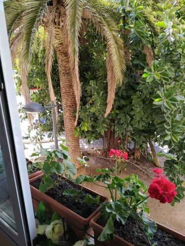 Apartment in Valencia — отзывы гостей и цены