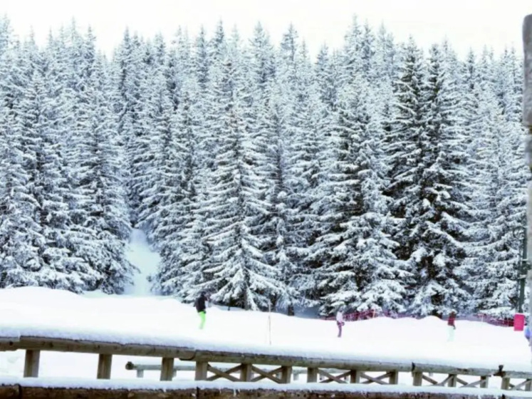 Appartement Courchevel 1850, 2 pieces, 5 personnes - FR-1-514-35 — забронировать отель в Куршевеле