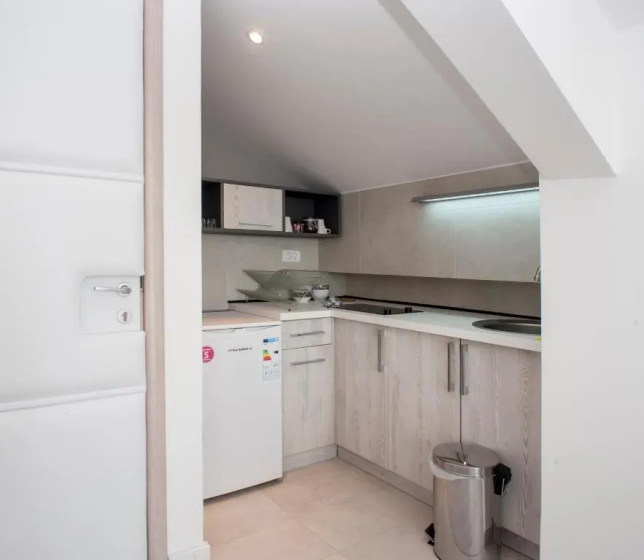 Apartments Villa Savamala — отель с удобствами в Белграде