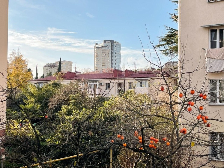 Miliy Dom Guest House — отель в Сочи, Россия