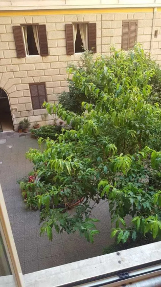 Guesthouse Mersede — отель с удобствами в Риме