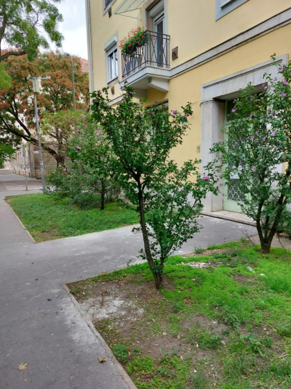 Family Friendly Apartman — отель с удобствами в Будапеште