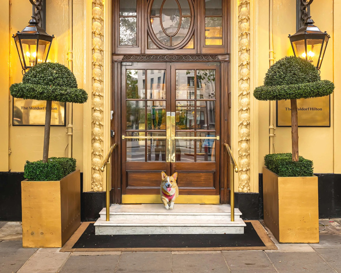 The Waldorf Hilton, London — отель с удобным расположением в Лондоне