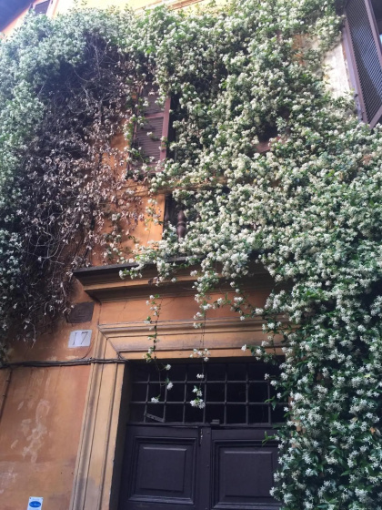 Guest House Navona 2 — комфортный отель в Риме