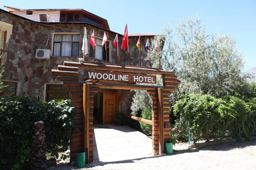 Woodline Hotel — отель в Гёйнюк, Турция