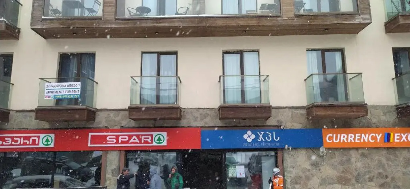 Gudauri Ski Apartment — отель с удобствами в Гудаури