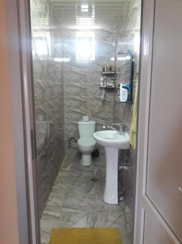 Niks House — отель с удобным расположением в Кобулети