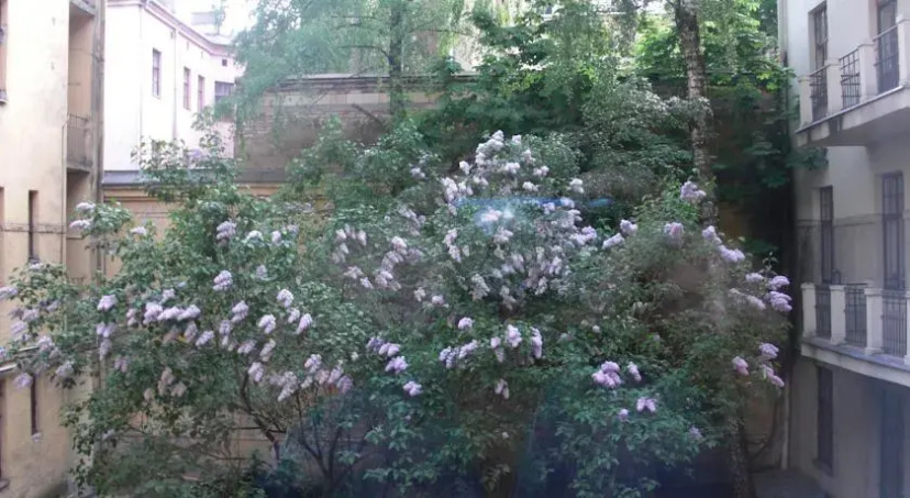 Esplanade Park Sunny Flat — забронировать отель в риге
