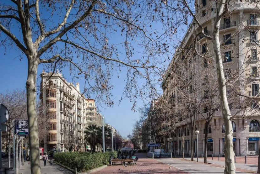 Apartamento Noemi — забронировать отель в Барселоне