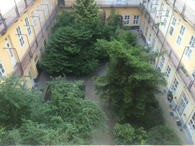 Judit Apartman — комфортный отель в Будапеште