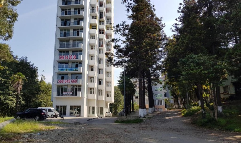 Lux Apartment 1 — отель с удобствами в Батуми