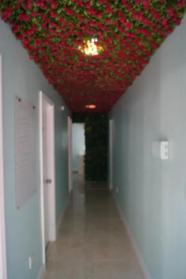 Цены на Art Gardens Wynwood в Майами