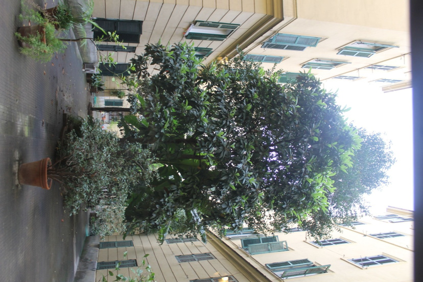 Цены на Rovati Guest House в Риме