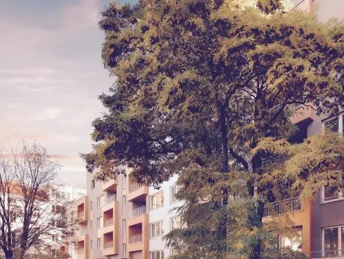 Apartement Blanc de luxe — отзывы гостей и цены