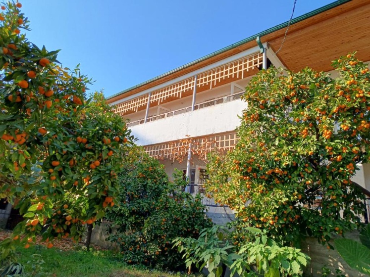 Цены на Inzhir Guest house в Новый Афон