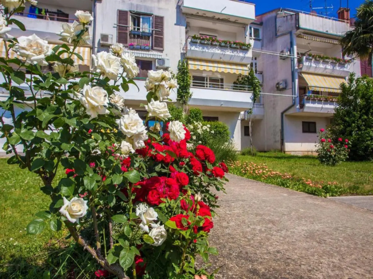 Apartment Tereza - Apartment in Porec - Photo 1