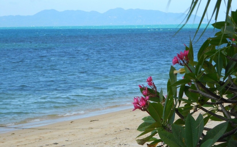 Цены на Royal Living Koh Samui - Wonderful Placed With Jacuzzi - Villa 5 в Кохе