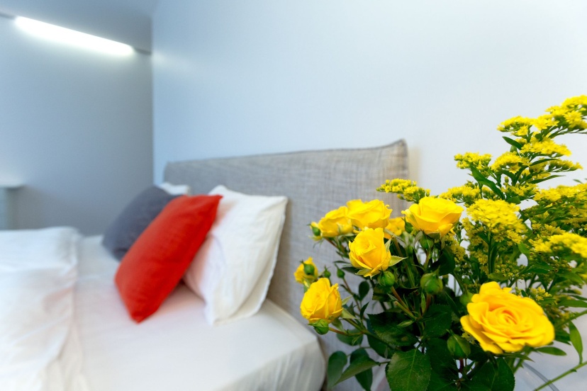 Vilnius Apartments & Suites на проспекте Гедимина — отель с удобствами в Вильнюсе