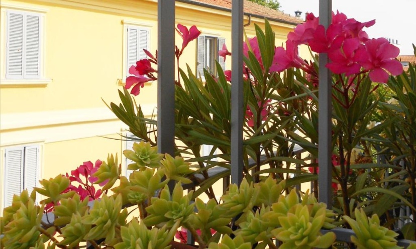 Apartments Milan - Shabby Chic — отель в Милане, Италия