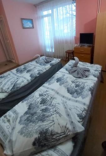 Цены на Pumpalovi Guest House в Банско