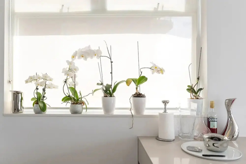 Цены на 2 Bedroom Apartment with Bay View в Сиднее