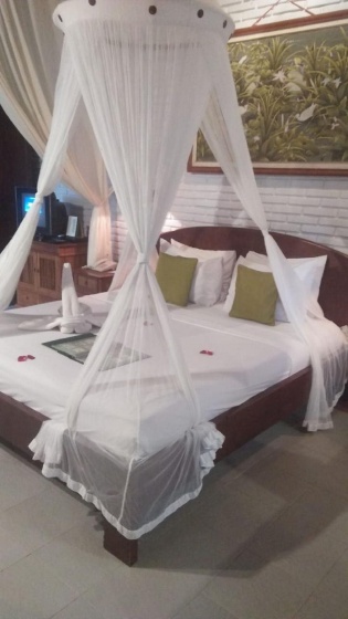 Puri Asri Villa — отзывы гостей и цены