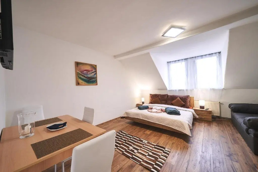 Bluestars Home — комфортный отель в Карловых Варах
