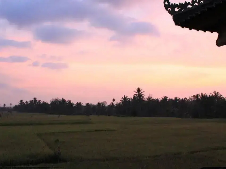Villa Mangku in Ricefield — забронировать отель в Убуде