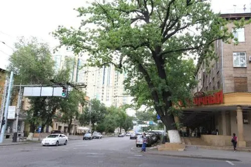 Apartment Nadezhda at Kabanbay Batyra 122 — отель с удобствами в Алматы
