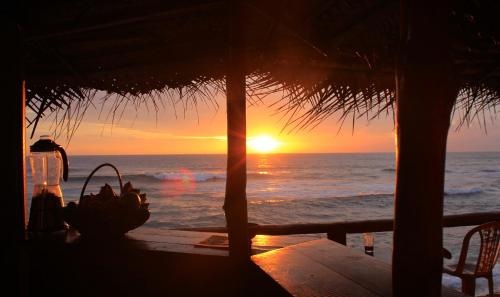 Surfing Beach Guest House — отель с удобным расположением в Хиккадува