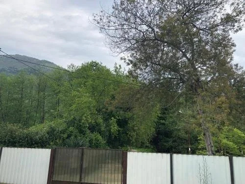 Guest House Inga — отель с удобным расположением в Гагра
