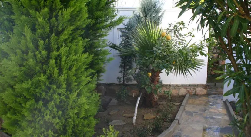 Luxury Villa Tilev — комфортный отель в Бодрум