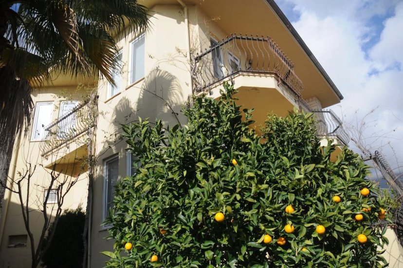 Цены на Gold City 3 Bedroom Villa 5 в Аланье