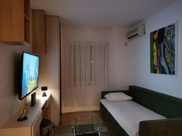 Studio apartment Art Zone — комфортный отель в Подгорице