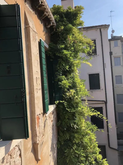Guesthouse Ca dell'Angelo — забронировать отель в Венеции