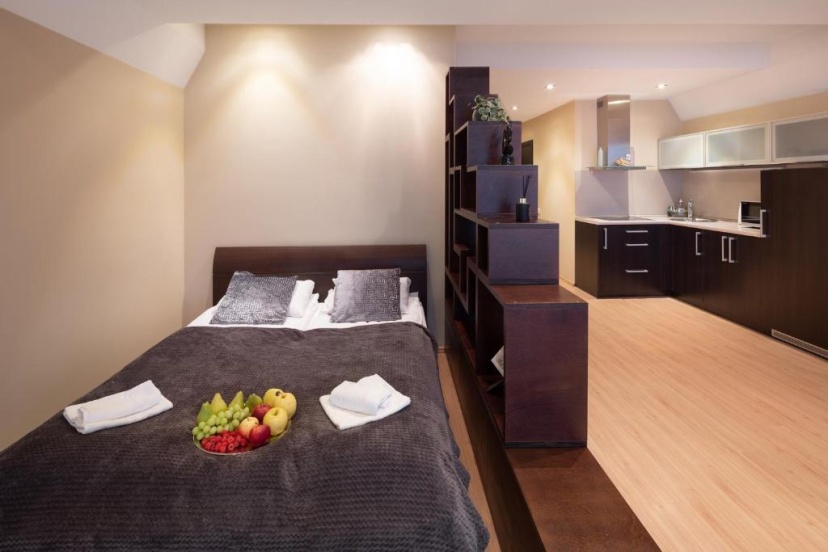 Specious Studio Apartment near of Town Center and Park, up to 4guests — комфортный отель в риге